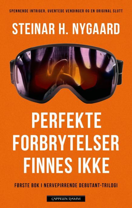 Perfekte forbrytelser finnes ikke